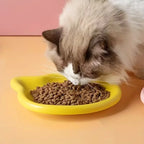 Shallow Pet Food Dish Set – 4 Colors for Cats & Small Dog Breeds